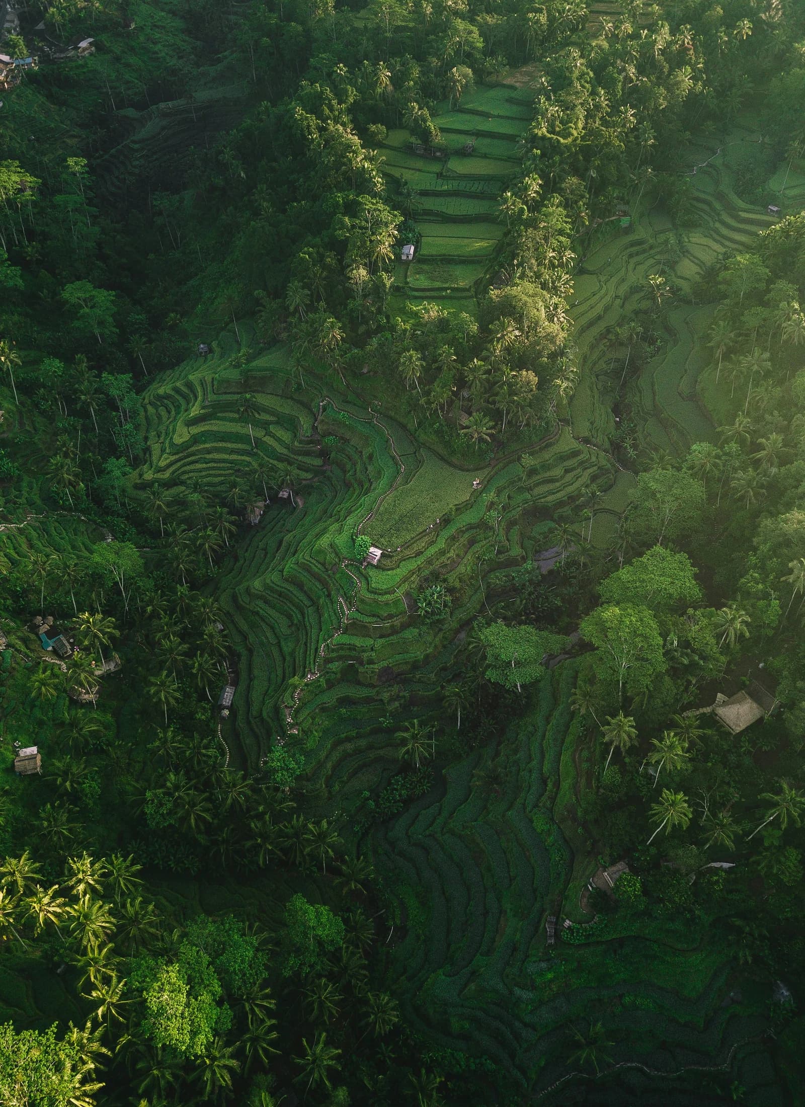 Destino: Indonesia / Bali
