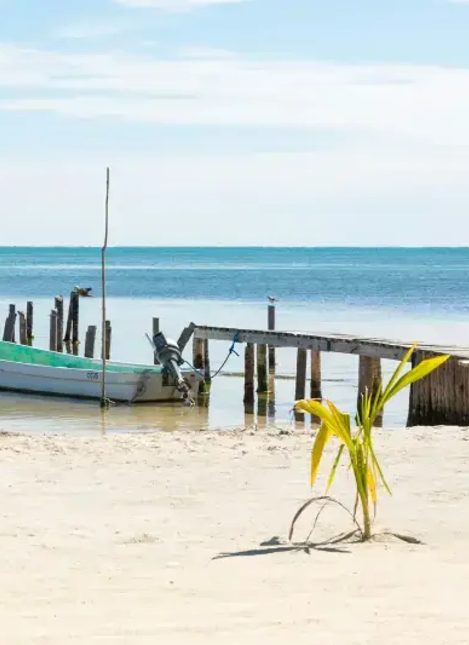 Destino: Bahamas
