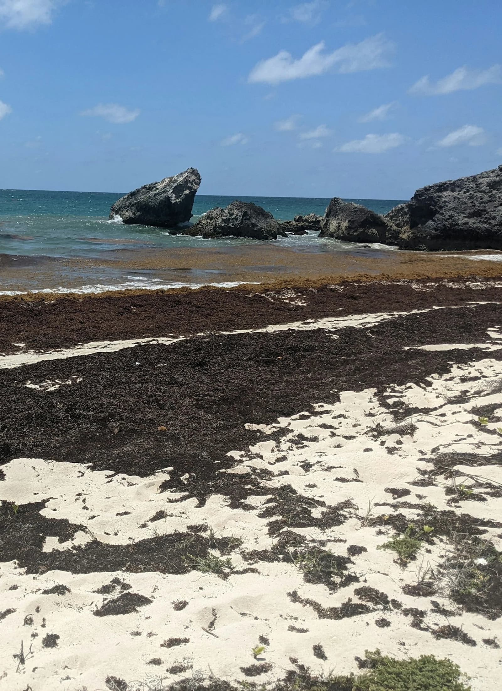 Destino: Barbados