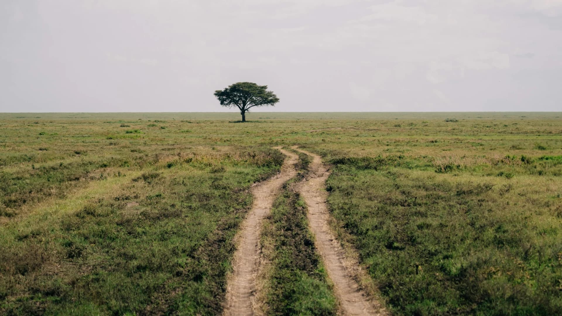 Africa y desierto