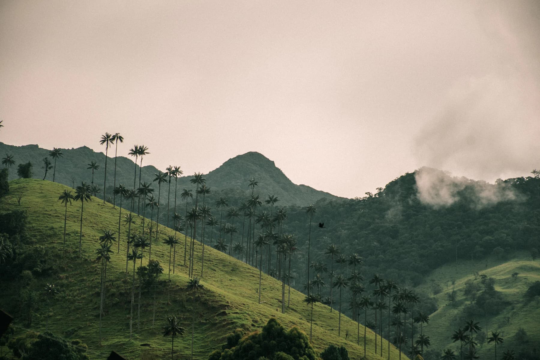 Colombia