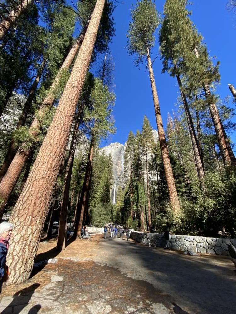 Oakhurst y Parque Yosemite / San Francisco