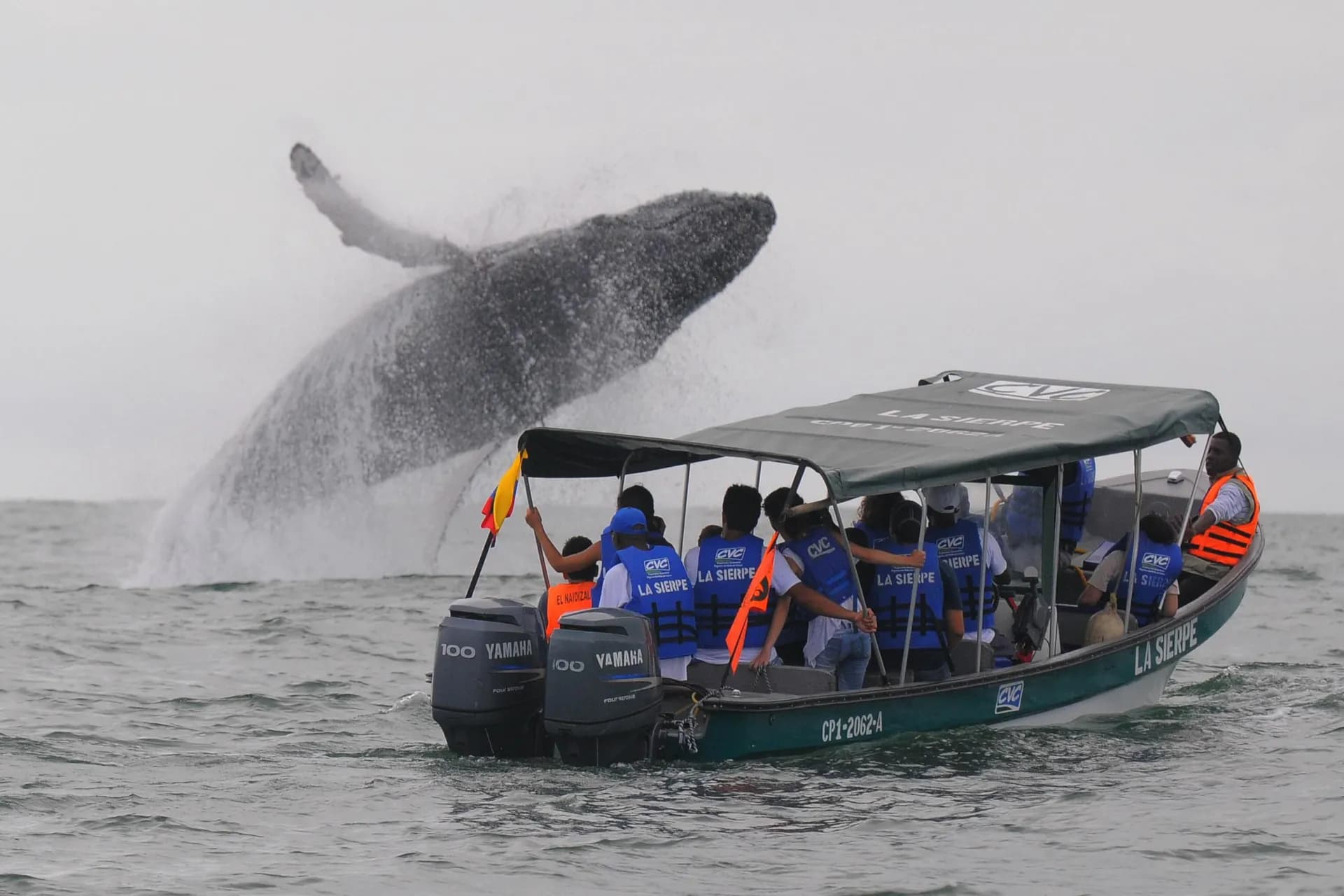 NUQUI – AVISTAMIENTO DE BALLENAS Y CASCADA DEL AMOR