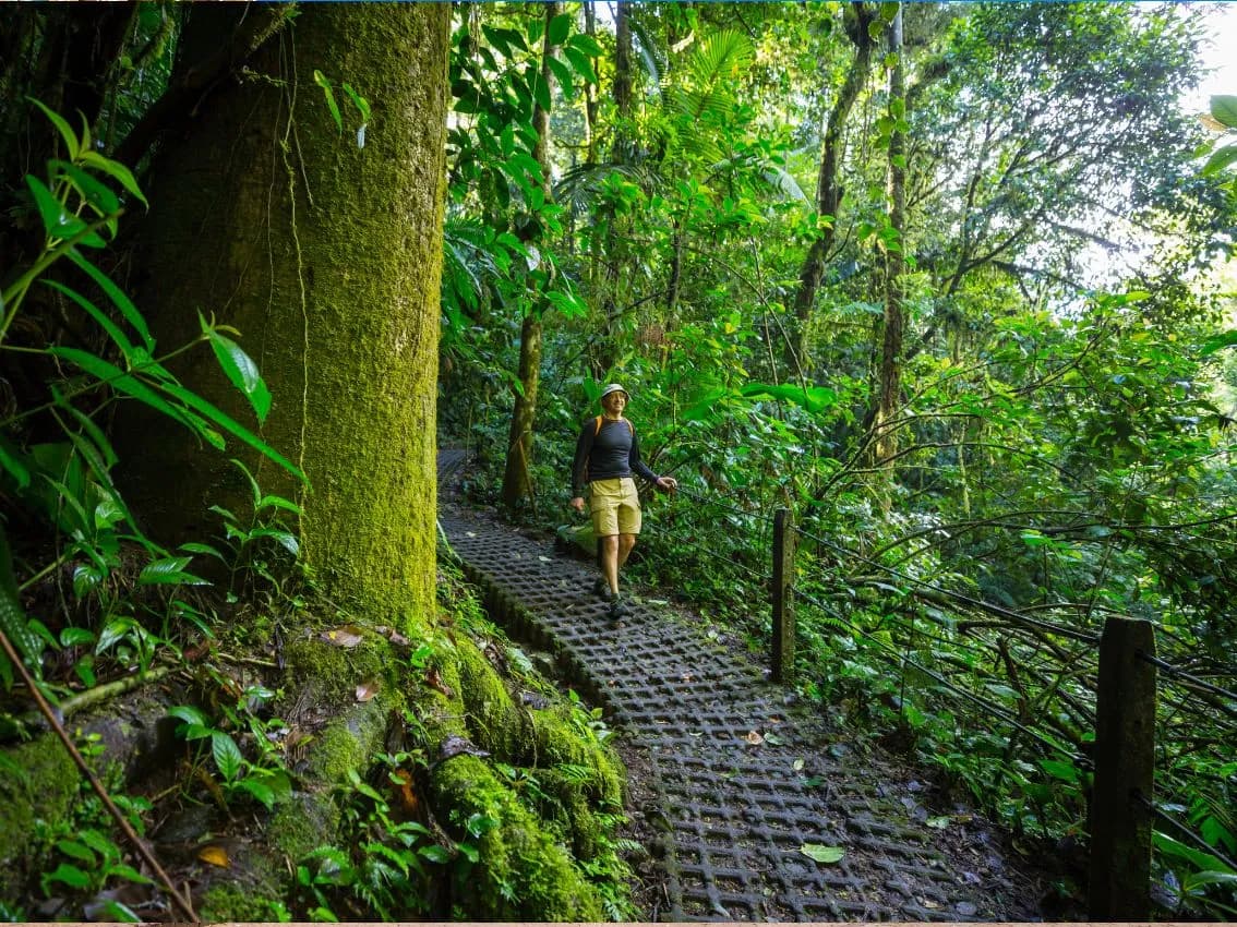 Plan Costa Rica: 5 noches 6 días