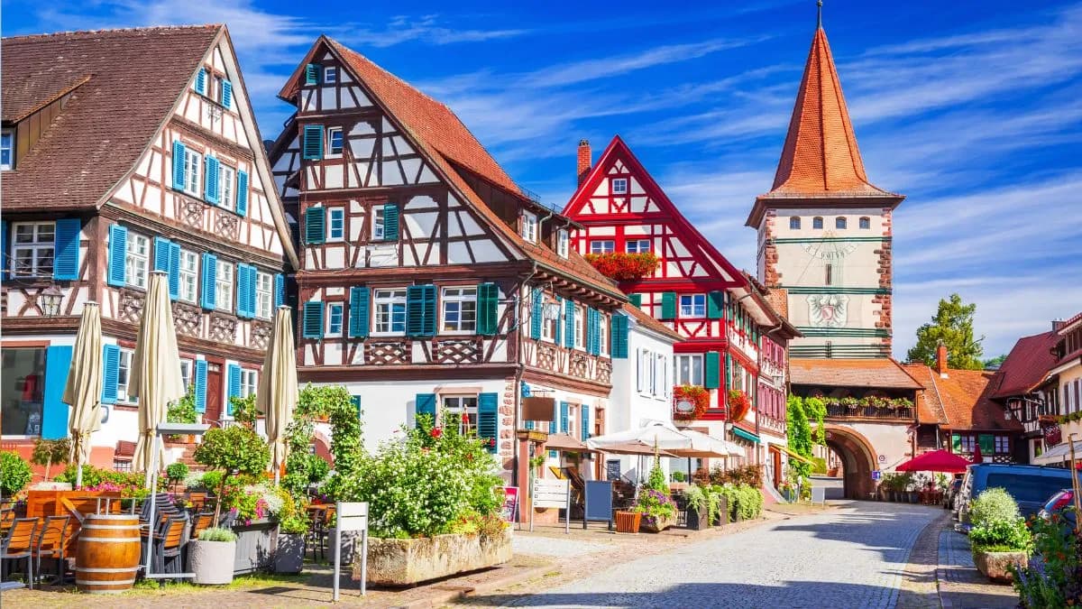 FRANKFURT - HEIDELBERG - SELVA NEGRA (FRIBURGO) - ZÚRICH