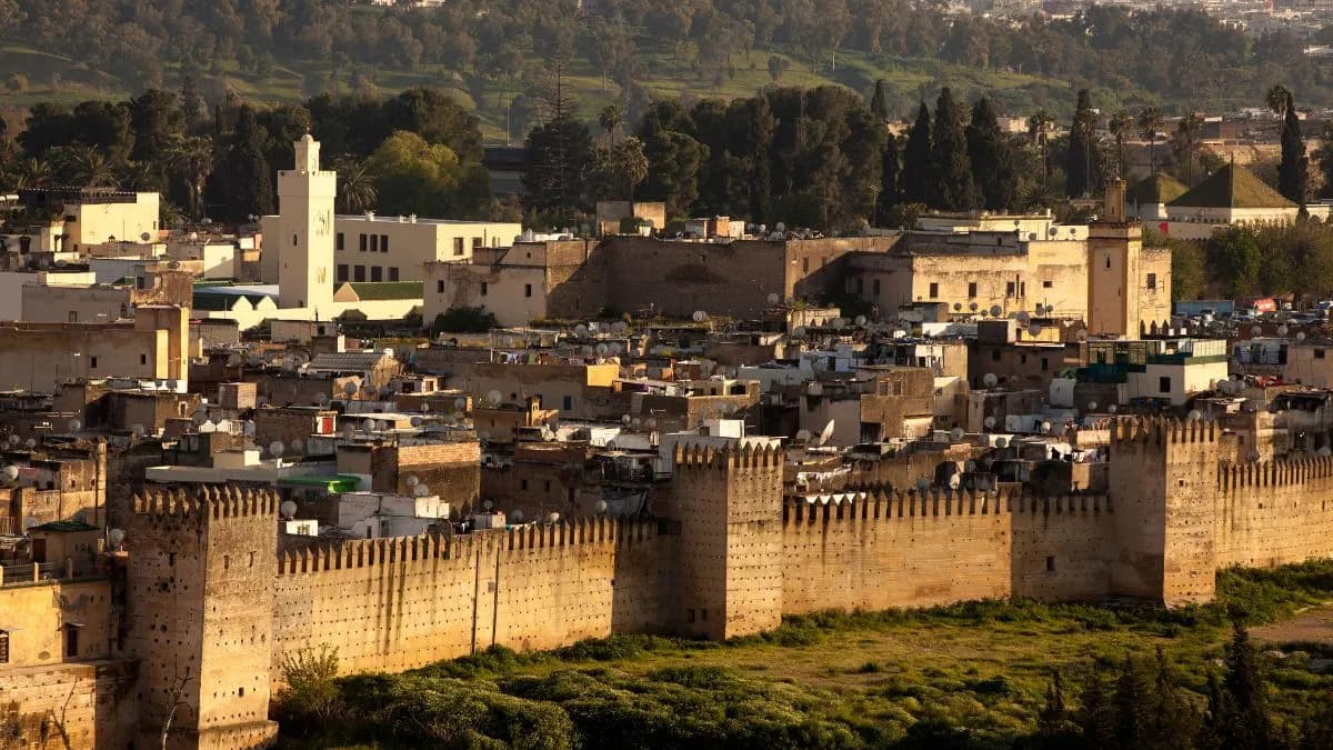 FEZ