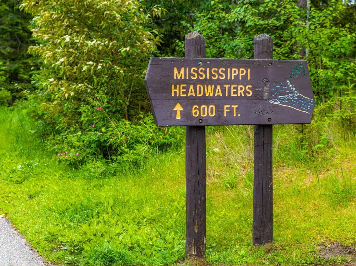 PASEO DIURNO POR EL RIO MISSISSIPPI - 2 HORAS