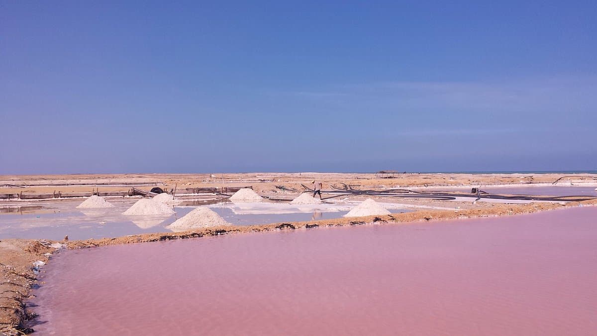 Día 3 – PUNTA GALLINAS – PUNTA AGUJA